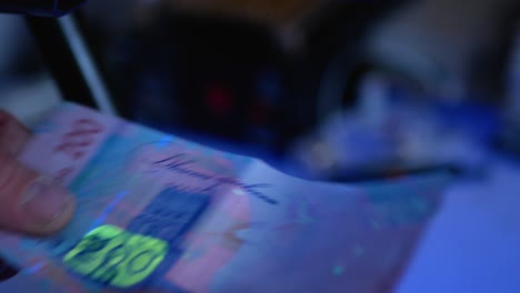 doscientas hryvnas de eneldo bajo una lámpara ultravioleta.