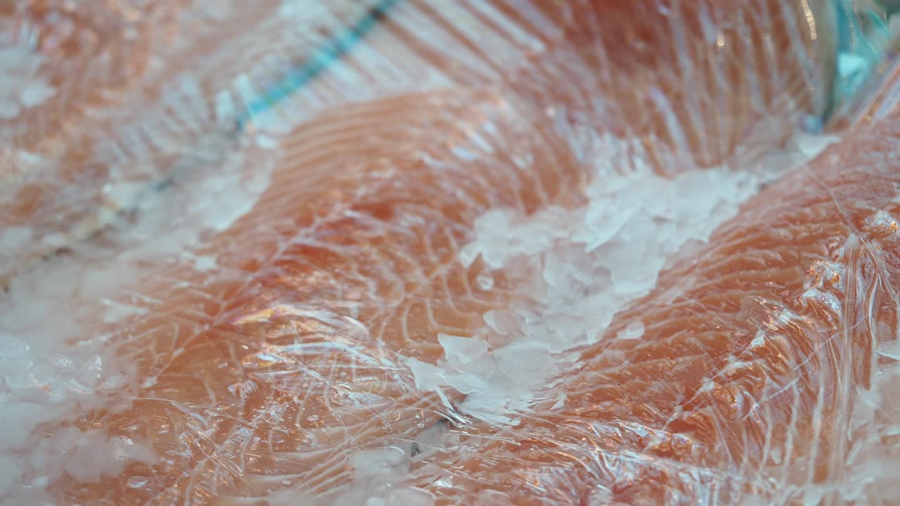 Fresh Salmon Fillet Display