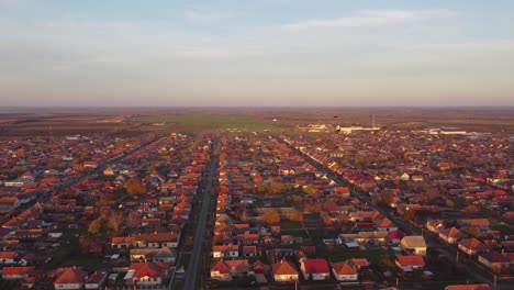 Drone-hovering-above-a-town-with-birds-flying-in-the-frame