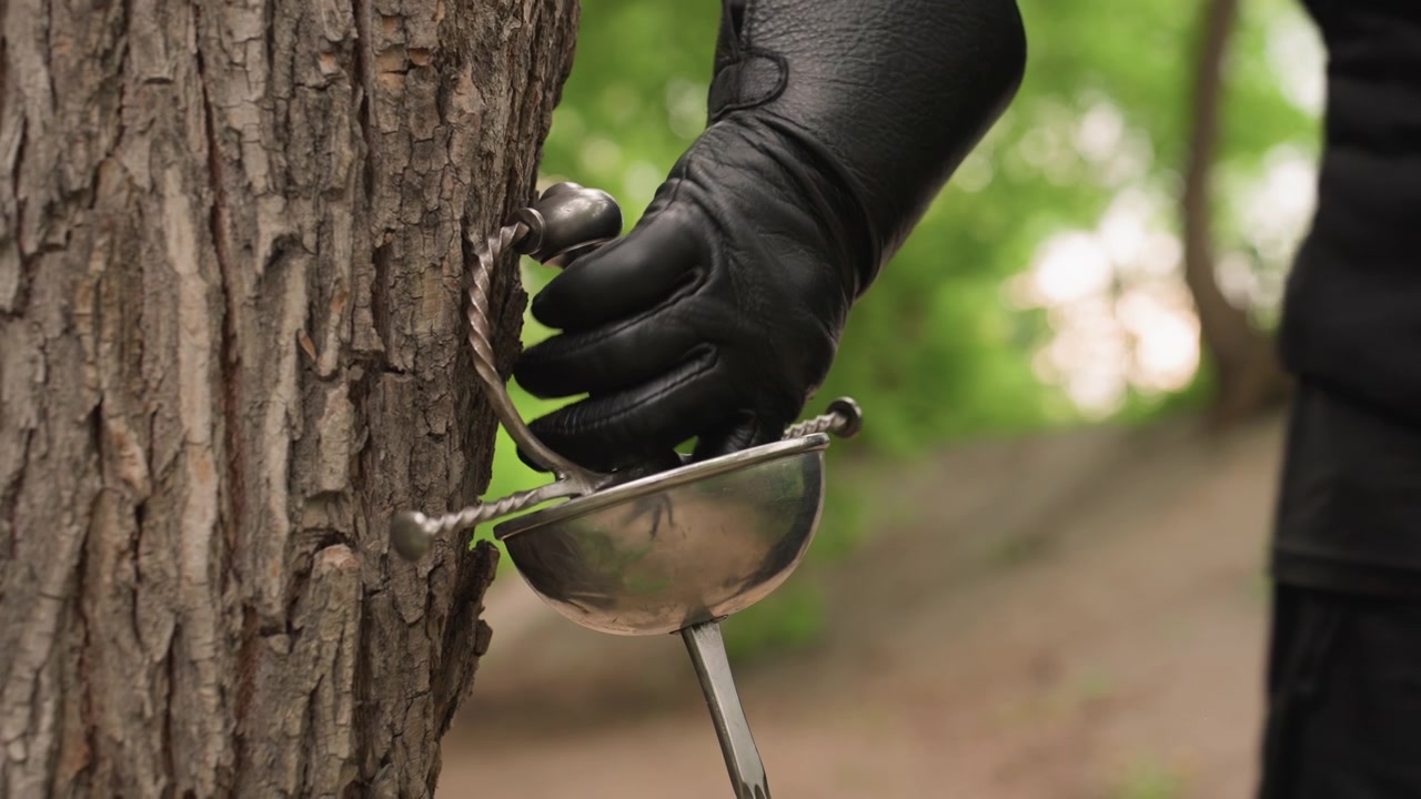 Close up of sword with wooden handle and metal hilt embedded in tree bark as person dressed entirely in black approaches. Sword remains fixed while person moves closer to it against green
