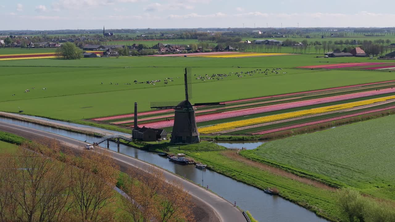 Luftaufnahme von gestreiften Blumenfeldern mit der Kaager Mühle in malerischer ländlicher Landschaft.