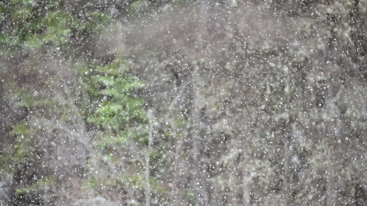 Delicate snowflakes float gracefully through the air, creating a mesmerizing slow-motion winter spectacle