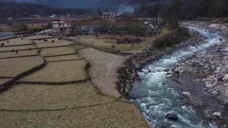 Fluss,-Malerische-Naturlandschaft,-Szene-In-Einem-Bergdorf,-Wald,-Landschaft-Im-Iran,-Holz,-Wald,-Dorfleben,-Reislandwirtschaft-Für-Die-Einheimischen,-Besetzung,-Familienarbeit-An-Land,-Reisfarm,-Das-Bauernvolk