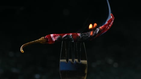 burning red indian chili pepper stuck in a fork