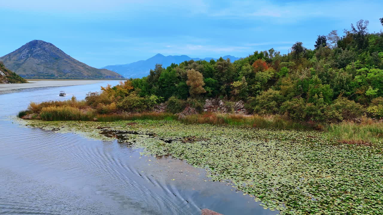 Ulcinj, Montenegro, 14 August 2025: Lily Boats Near Hills. Boats glide across lily fields framed by distant green hills