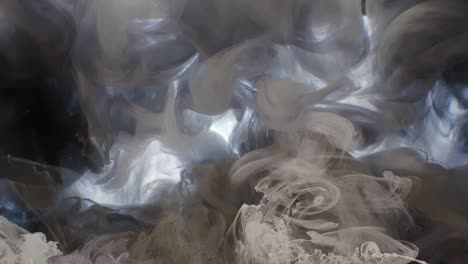 a beautiful mixture of acrylic ink in water. the ink and white ink streams form abstract clouds when mixed. acrylic clouds on a white background. slow motion