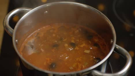 sopa caliente cocinada en la estufa
