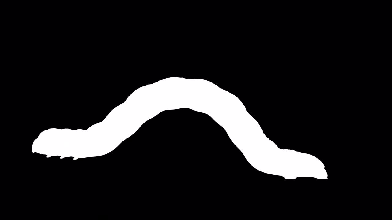 색의 애벌레, 루핑 3d 애니메이션