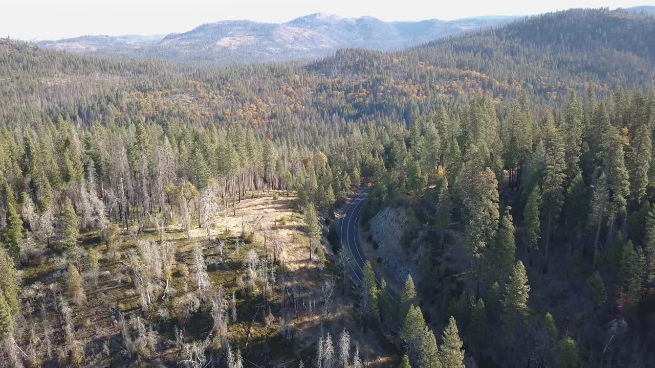 Aerial Drone footage in Groveland, CA over a winding road in the forest