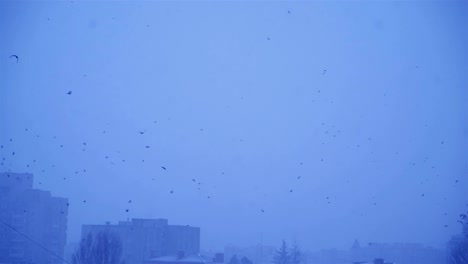 una bandada de cuervos volando alrededor de un edificio.
