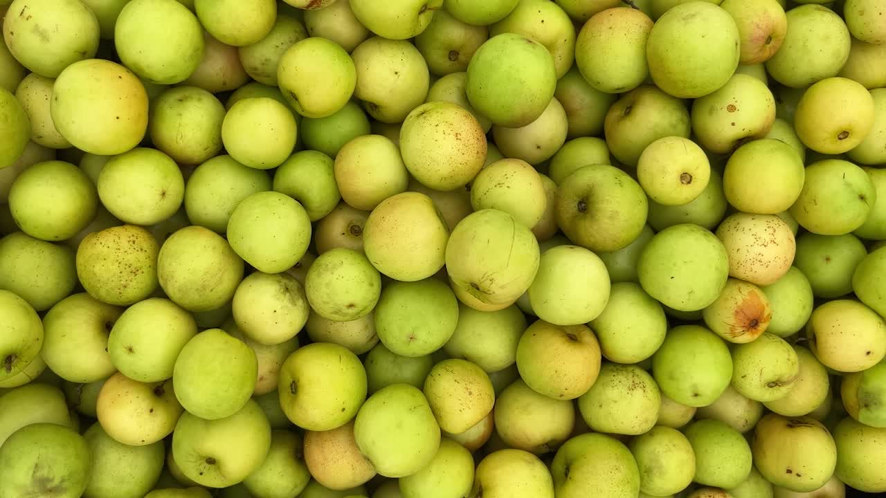 A beautiful wallpaper background made with cool fruits.