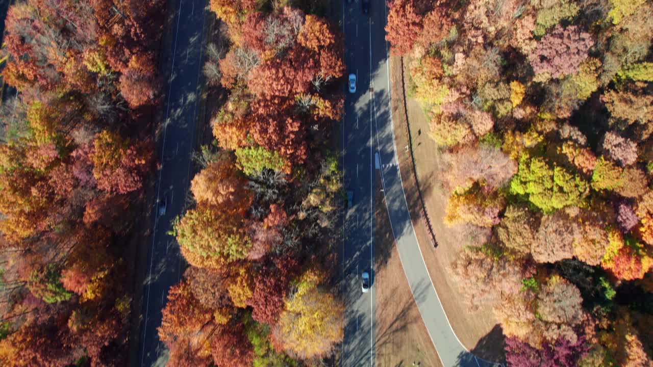 Overhead of highway traffic in amazing fall forest colors, New Jersey, USA