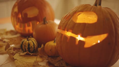 pumpkins near jack o lanterns