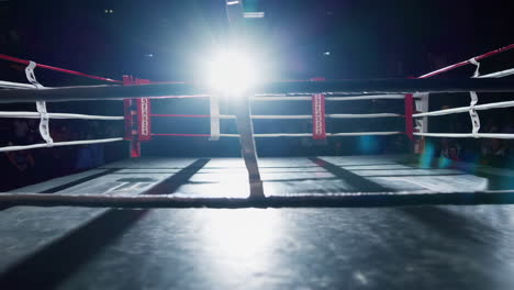 muay thai boxing ring