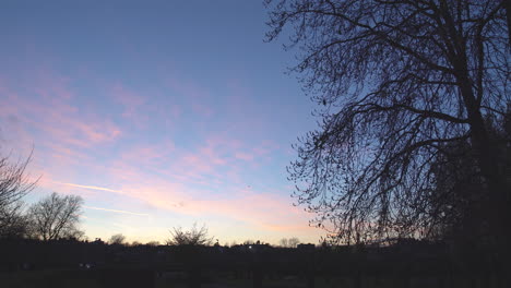 airplane descending in the background over king george's park, london