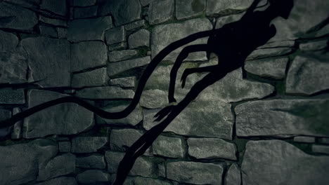 shadow figure by stone wall