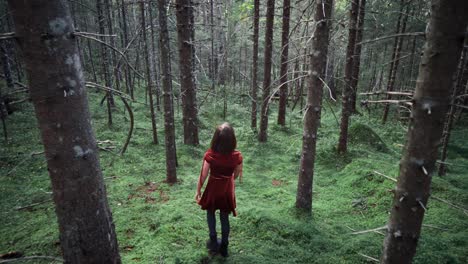 camera following a girl wearing a red dress through the trees, girl walking through a dense spruce forest, groud covered with grass and moss