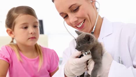 little girl watching vet checking her kitten