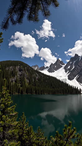 mountain lake scenery with pine trees and reflections