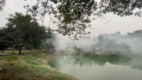 steam rises off of water, green trees, warm jungle