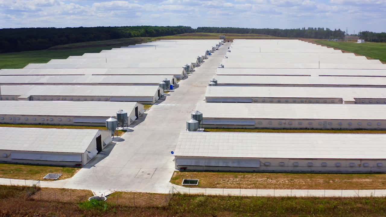 Exterior of livestock farm. Contemporary white farm buildings on field in summer. Agricultural business in the countryside. Slow flight.