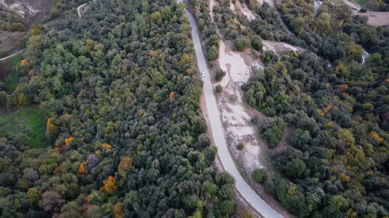 vista aérea coche conduciendo en carretera de montaña europea en el bosque