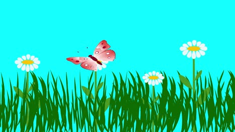 animación de dibujos animados de plantas y flores, pantalla azul tecla de croma, diseño plano
