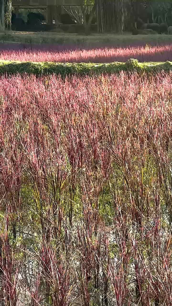 다채로운  위 를 날아다니는 새 들