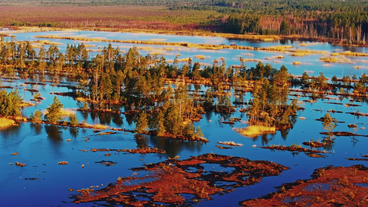 Cinematic sunrise glows over blue wetlands and trees in Ķemeri National Park