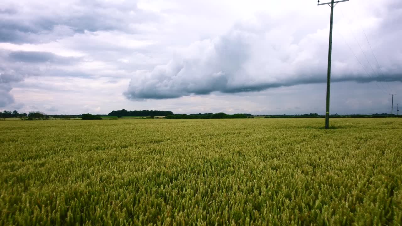 시골 시골의 농작물과 들판 위로 저공비행하는 고속 드론
