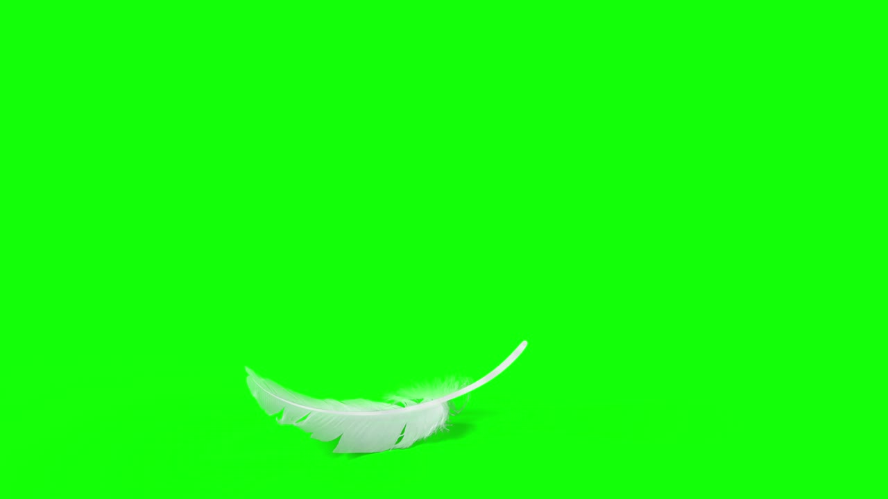 크로마 키와 알파 채널 마스크와 함께 떨어지는 털 요소 4k 느린 동작