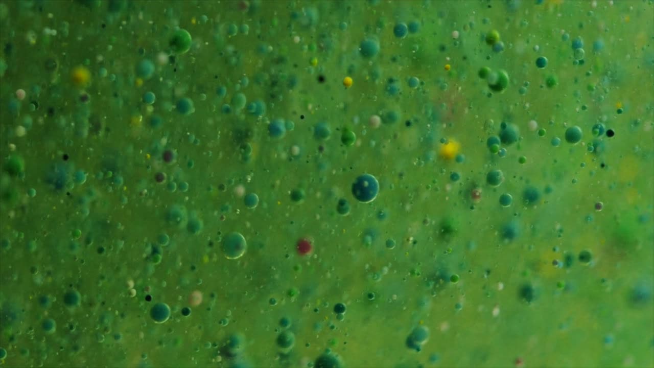 라임 호수의 해파리 - 자세한 내용은 따옴표를 사용하여 "abstractvideoclip"을 검색하십시오.