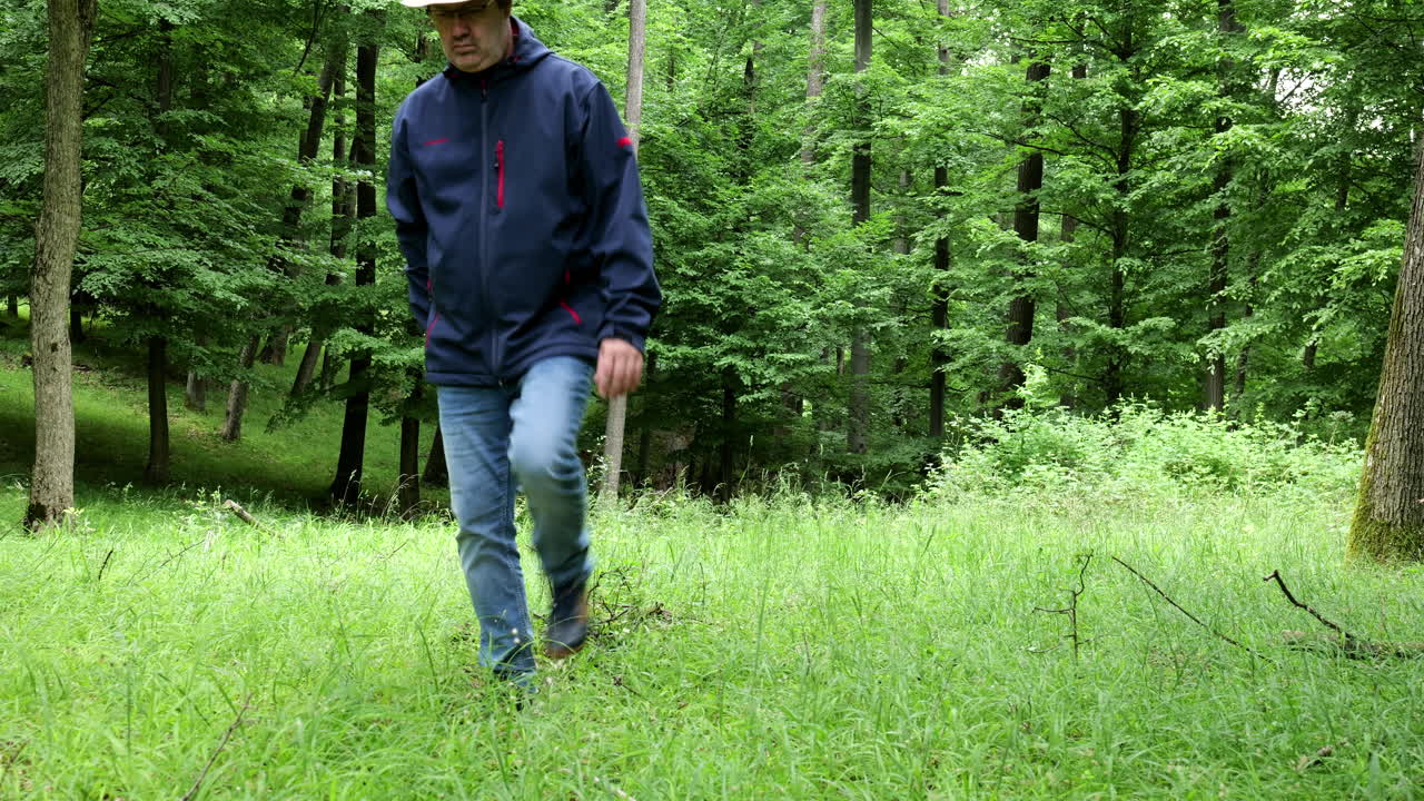 초록색 산 숲 을 걸어다니는 산책자