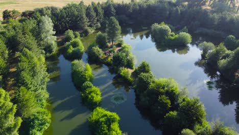 Pond-For-Fishing-Surrounded-By-Summer-Forest-Trees-In-Norfolk,-England---aerial-drone-shot