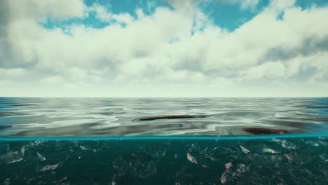 vista dividida sobre y bajo el agua en el mar del caribe con nubes