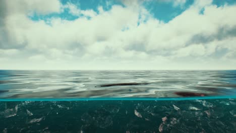 split view over and under water in the caribbean sea with clouds