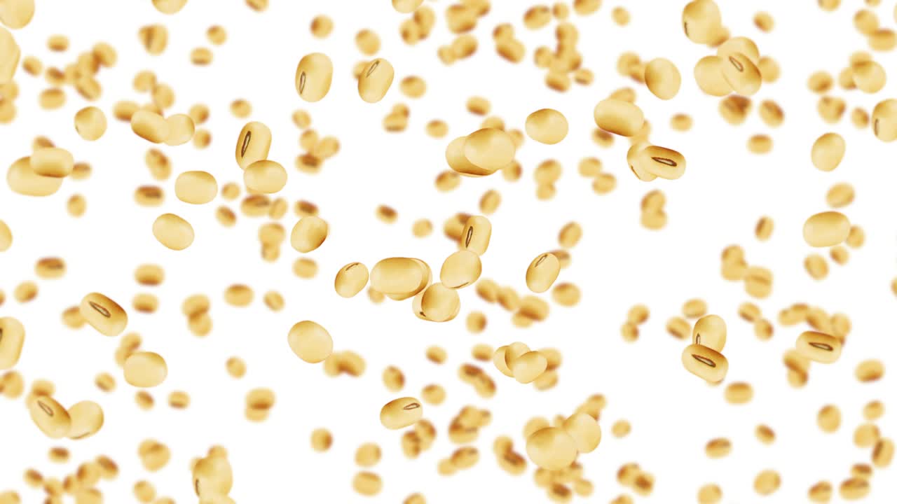 색 배경에 많은 콩을 날아. 밝은 갈색 곡물. 콩과 콩. 건강한 음식. 콩이 회전하는 3d 루프 애니메이션.
