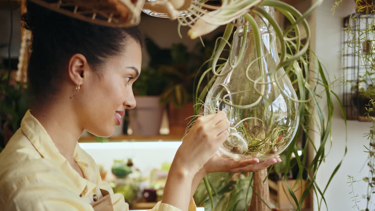 유리 테라리움 에 있는 공기 식물 을 조사 하는 여자