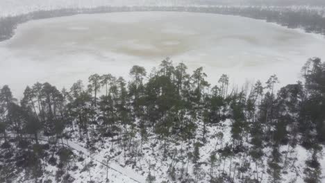 Drone-Aéreo-Acercándose-A-Un-Lago-Pantanoso-En-Meenikunno-Bog-En-Estonia-En-Invierno