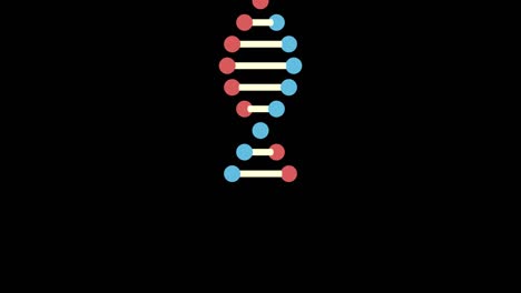 2d animation of dna on a black background. pedestal shot from top to bottom. 60fps