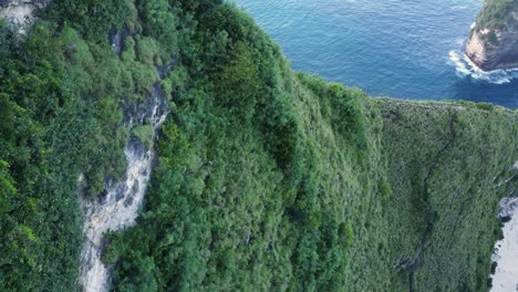 moving aerial view of dense green cliffs with vast blue ocean all around