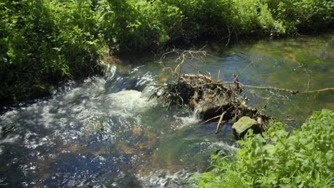 small stream with debris caught on rocks at creswell crags, worksop