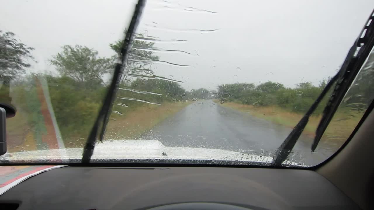 POV: Driving a paved African road in a Kruger National Park rain storm