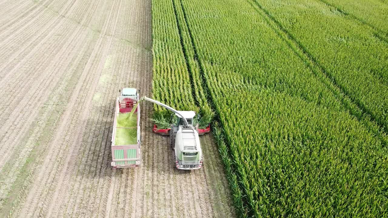 옥수수밭 수확의 공중 촬영