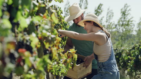 harvesting season is upon us