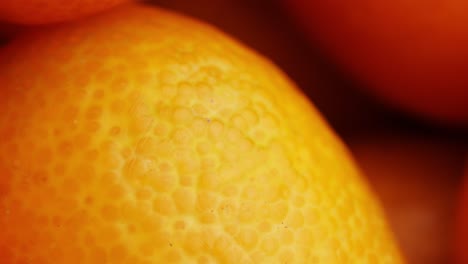 close-up of kumquats