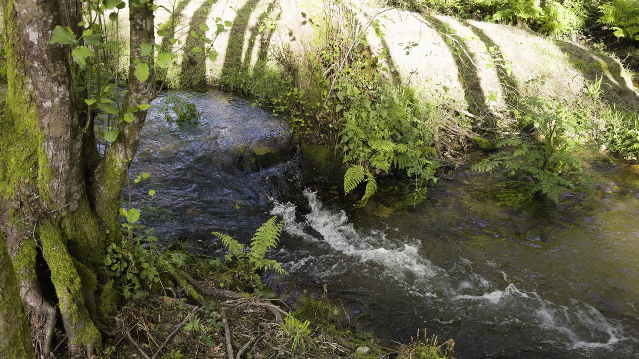 Water quickly flows down stream between choke point in brook bubbling at spring time