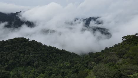 aerial view, clouds above rainforest in rural guyana, south america, drone shot