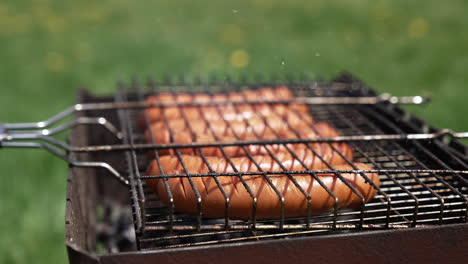 roasting sausages in smoke. juicy meat sausages cooking on a grill plate outdoors. grilling food during summer vacation. close-up.