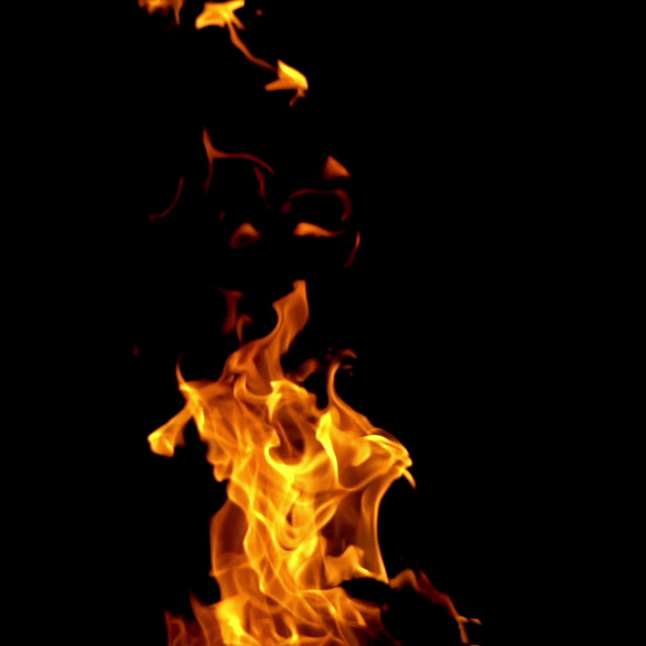 Fire flames abstract isolated on black background at night. Beautiful orange flame blazing brightly over the dark.